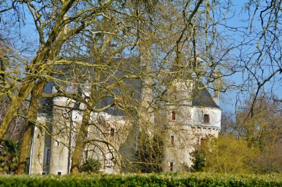 Dsc 0459 copie